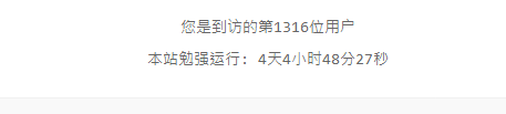 B2主题在网站底部添加访问次数代码 B2主题在网站底部添加访问次数代码