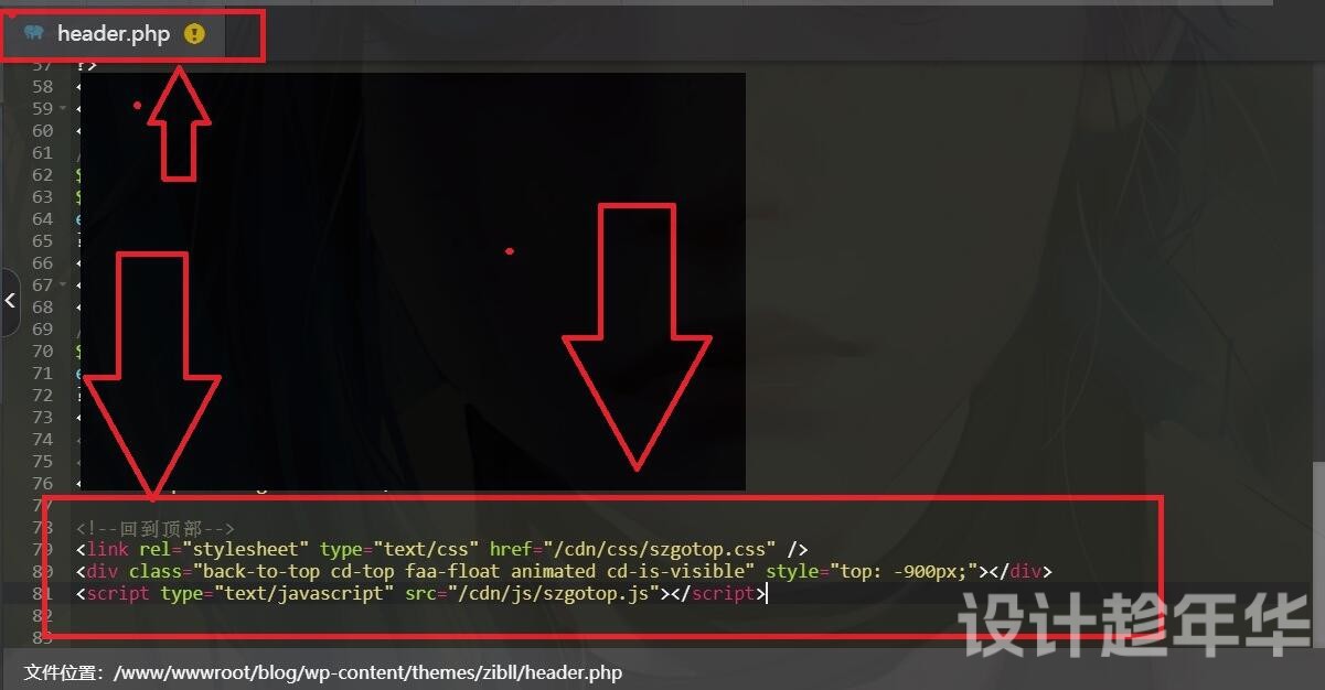 子比主题回到顶部悬挂猫咪