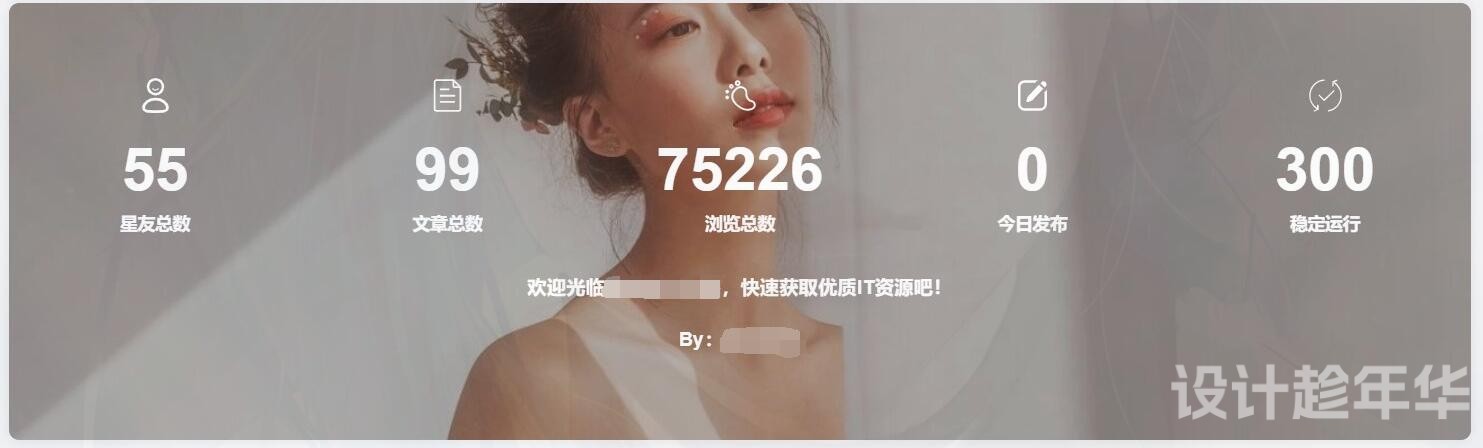 子比主题添加底部统计信息模块小工具 子比主题添加底部统计信息模块小工具