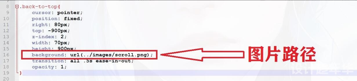 子比主题回到顶部悬挂猫咪