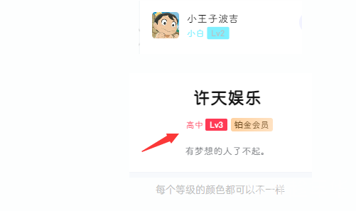 B2主题会员等级美化与自定义标识